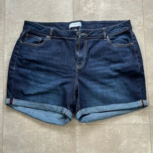 Lane Bryant Blue Jean Shorts with Rolled Cuffs